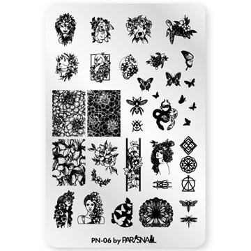 ParisNail Пластина для стемпинга PN-06 (9.5*14.5 см) 10992