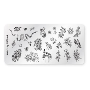Пластина для стемпинга Paris Nail PNS-05 6*12 11011