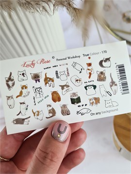 Lucky Rose Слайдер-дизайн True Colour-170 11217