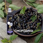 (Смородина) Обезжириватель-дезинфектор, жидкость для снятия липкого слоя 3 в 1 250мл 10333 - фото 1085
