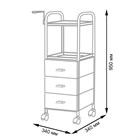 Тележка парикмахерская Глорис-09 11335 - фото 3335