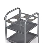 Тележка для шампуней Синди-02 11340 - фото 3359