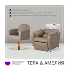 Парикмахерский комплект Амелия (кресло+мойка) 11344 - фото 3395