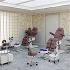 Педикюрное кресло Шарм-03 (Элегия-3В), 3 мотора 11360 - фото 3588