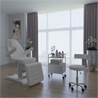 Косметологическое кресло АЛЬФА-10, 2 мотора 11391