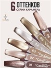 Гель-лак BeeNails кошачий глаз caramel №6 12065